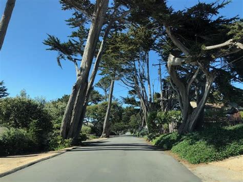 city of carmel street department|Streets & Sidewalks .